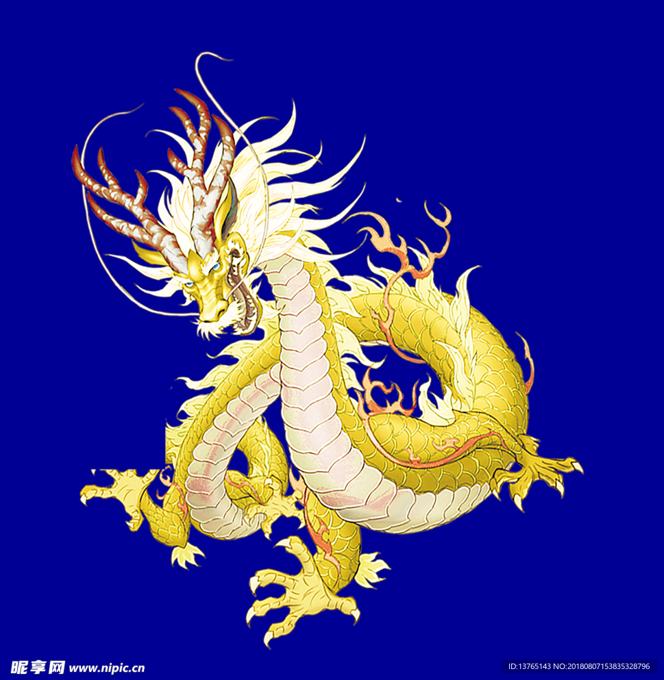 金龙资料版,获取最新信息,畅享学习乐趣