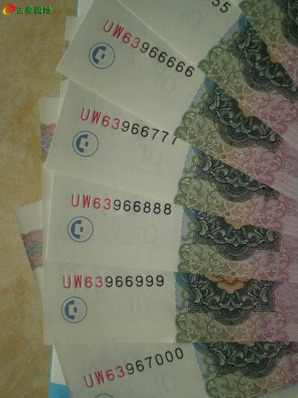 66111.cσm开奖结果,探寻神秘数字背后的真相,古老传说与现代赛马的奇妙交织