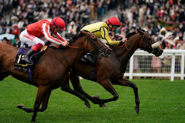 澳门2026年新政策,赛马现场高清实拍,独家揭秘夺冠热门选手