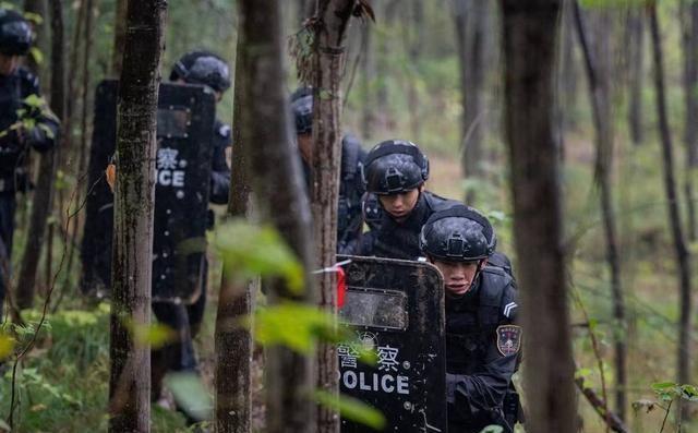 2026港彩图片,探索香港文化魅力,挑战你的智慧极限