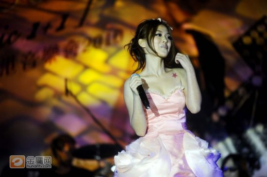 香港金鹰网免费大全,不容错过的巅峰对决,激情与荣耀同在