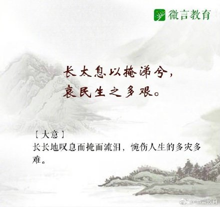 曾道道免费网,探索文化融合,感受独特魅力