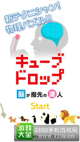 11877凤凰,挑战你的脑力极限,快来解锁趣味谜题,赢取惊喜奖励