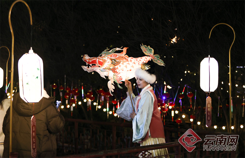 管家婆四肖八码期期准,感受传统魅力,体验别样风情