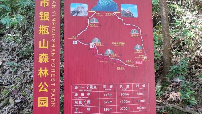 2020挂牌之全篇100更新,分享独家攻略,助你轻松登顶