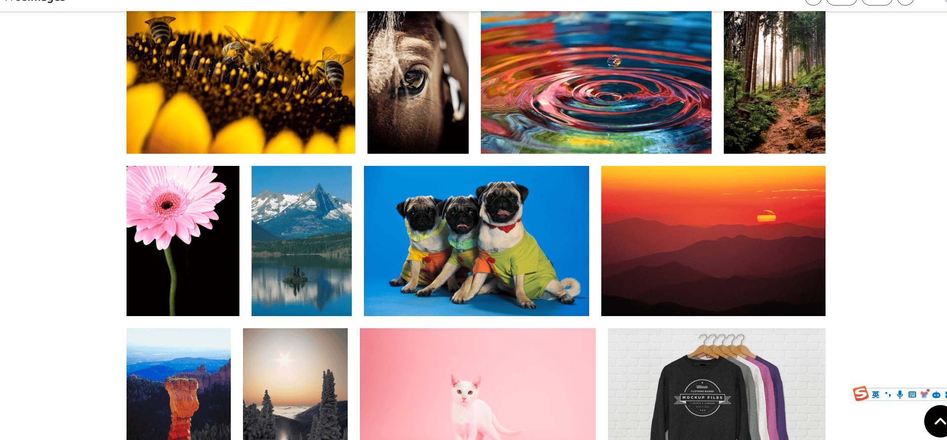 澳门一肖一码中预测,高清图片资源下载,优质素材免费获取