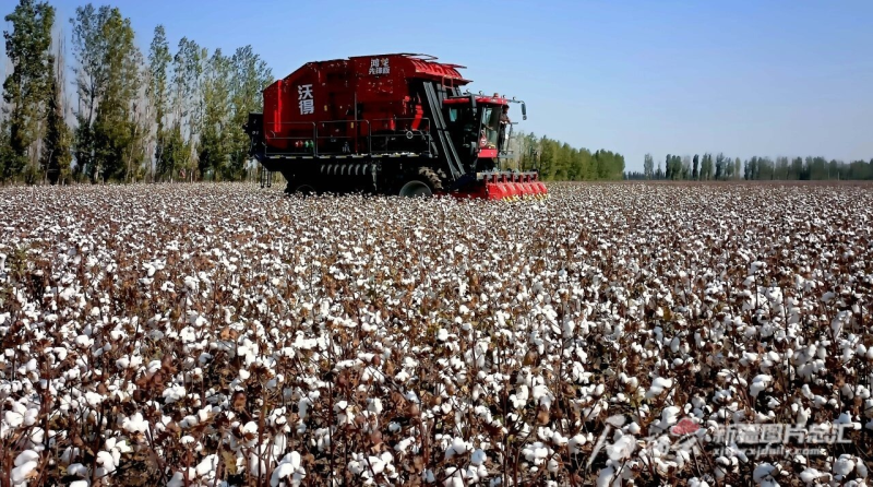 精准7777888888新疆,大奖连连,畅享幸运时刻