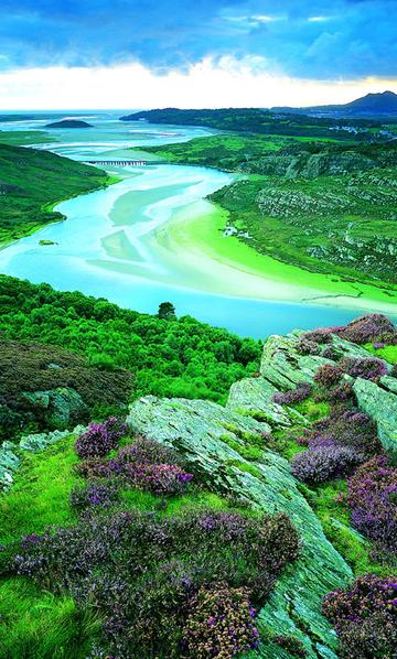 800图库资料大全2026年,揭秘最新生肖规律,助你轻松赢大奖