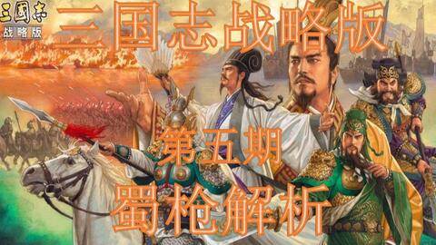 493333王中王中王免费安装教程,深度解析三国智谋,获取独家资源,助你成为策略大师