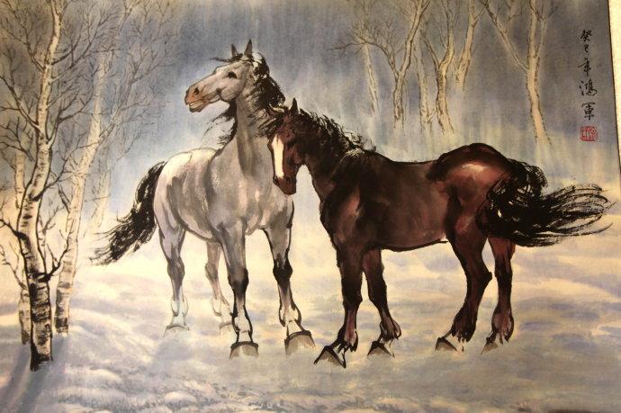 2021开马资料,高清无水印,一键下载,完整资源合集