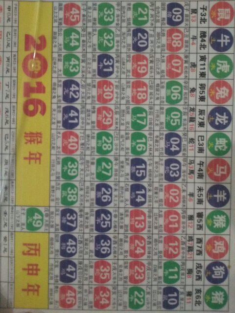 香港十二生肖表图片,探索成功秘诀,发现独特魅力