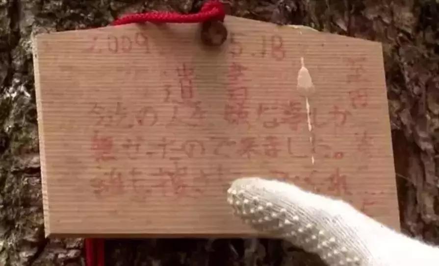 奥门一肖一特中特,惊悚灵异素材下载,独家猛鬼专题合集