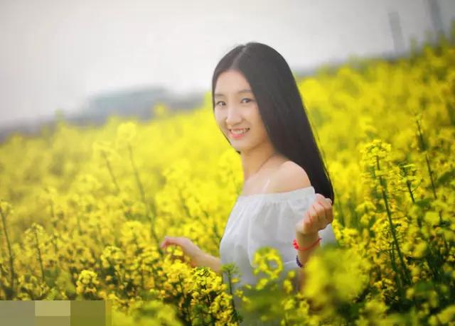 大三巴一肖一马一特l000,了解最新数据,掌握实用技巧