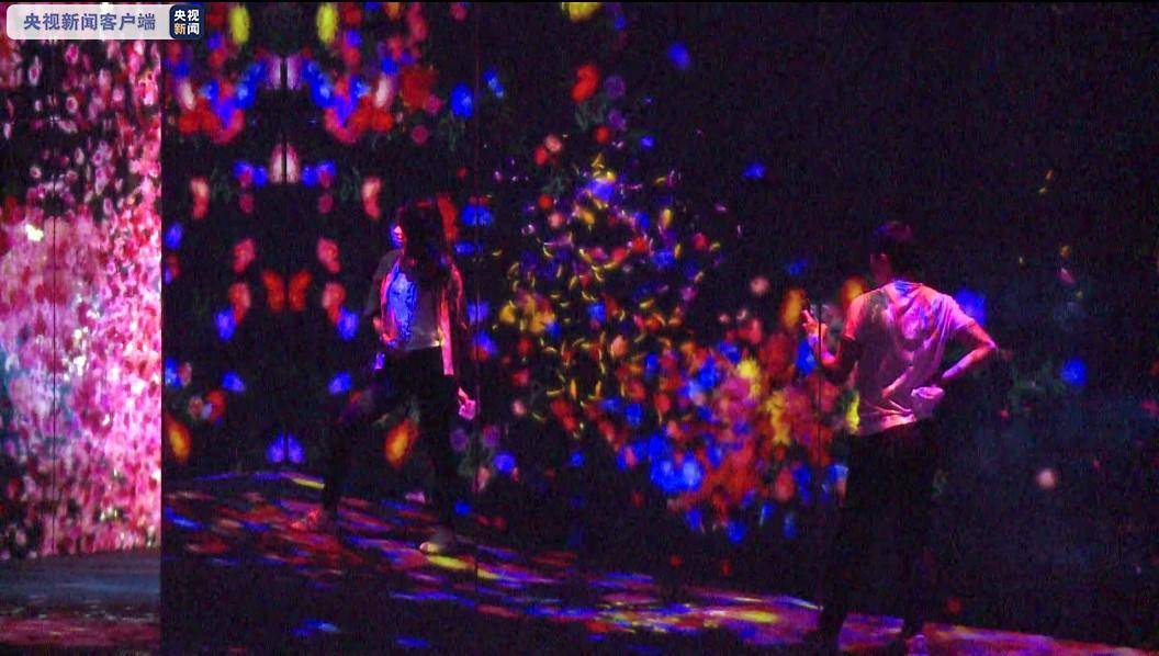 澳门火凤凰图片大全大图,揭秘热门话题,探索澳门本地生活动态