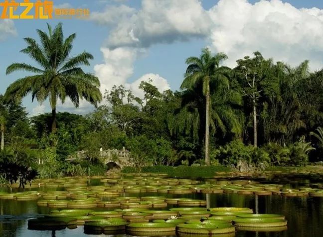免费资料-天下彩大全,感受澳门文化魅力,体验独特旅游风情