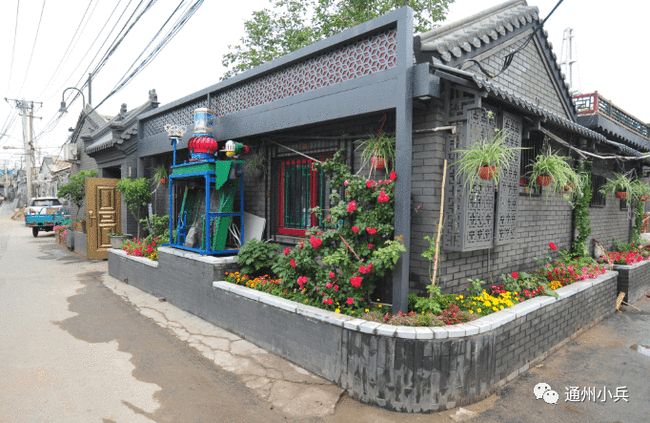 红人馆单双十两肖,高清无水印资源下载,免费获取2025年最新图片素材