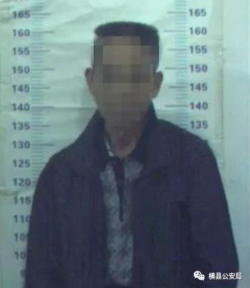 六叔公资料大全免费,把握机遇共创辉煌,开启幸运人生新征程