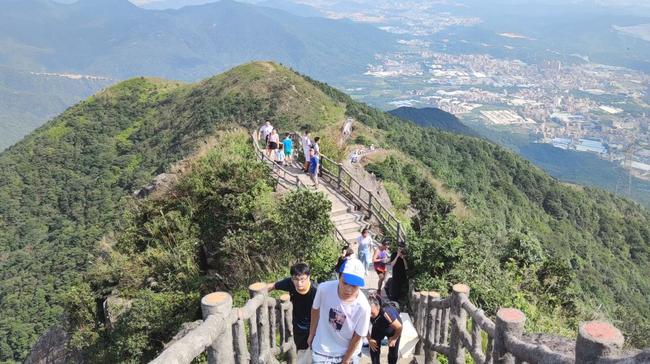 2020挂牌之全篇100更新,分享独家攻略,助你轻松登顶