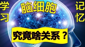 11877凤凰,挑战你的脑力极限,快来解锁趣味谜题,赢取惊喜奖励