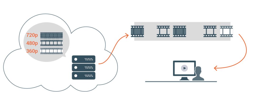 蓝月亮官方正宗资料,高效传输,稳定可靠,满足企业多样化需求