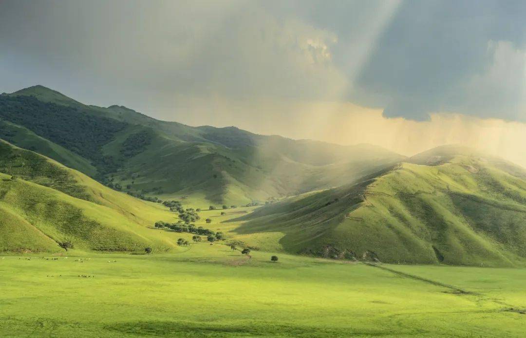 免费正版图片图库推荐,探索澳洲新西兰,体验绝美自然风光与独特文化