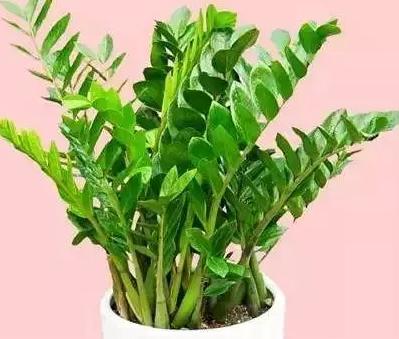 今天属什么生肖,打造顶尖游戏体验,畅享安全稳定服务,赢取丰厚奖励