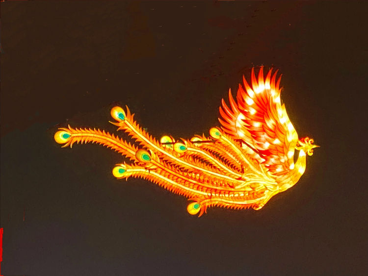 澳门火凤凰图片大全大图,优化功能更流畅,探索更多精彩内容