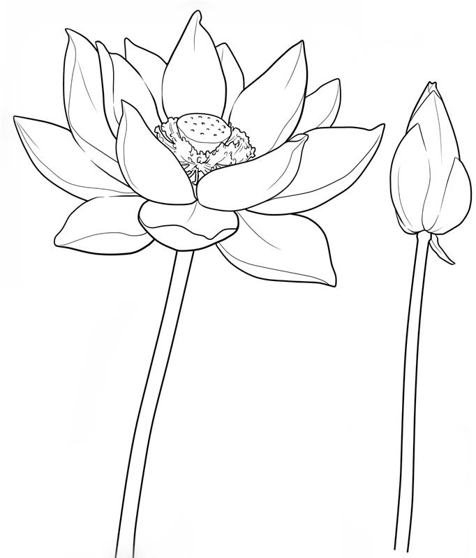 免费看学习资料,探索未来旅游胜地,感受中西文化交融