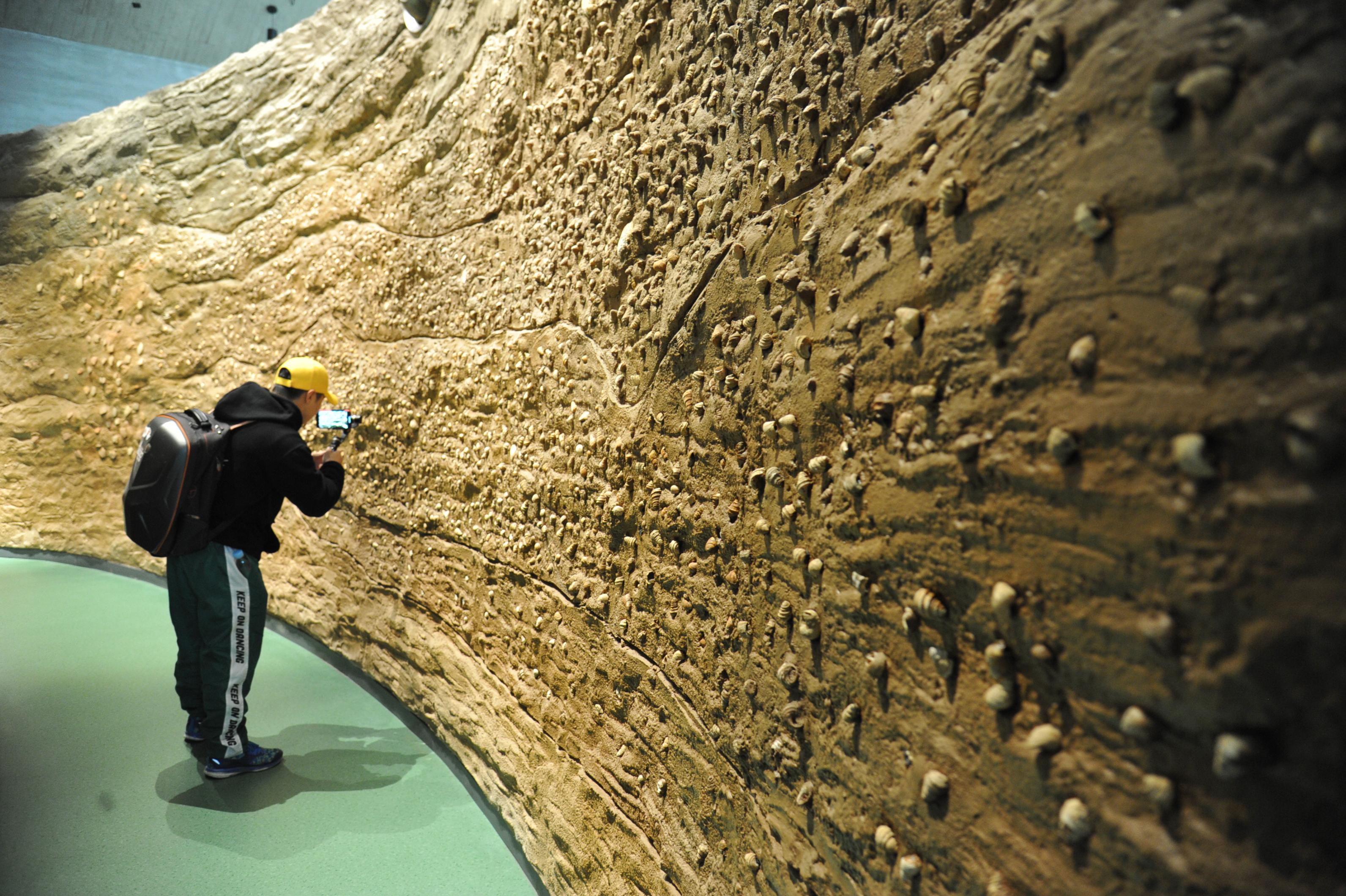 管家婆一肖一码,探索经典传奇,畅享精彩游戏体验