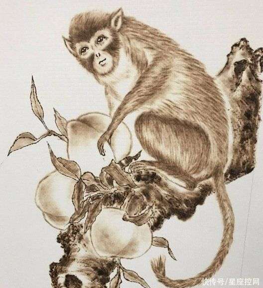 最人精的生肖 猴,助你财运亨通,好运连连一整年