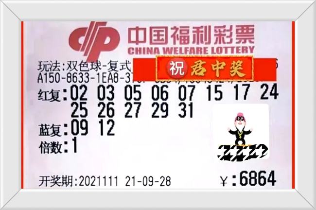 600图库免费资料下载,最新开奖结果分析,中奖号码揭晓