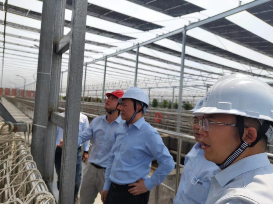 新门内部资料内部网站的特色与优势,畅享豪华体验,探索无限精彩