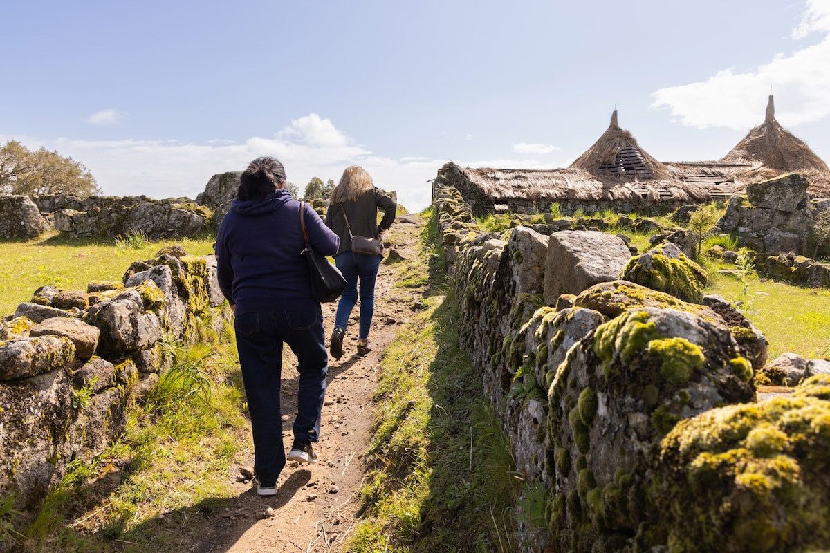 0149225.cσm查询开奖,探索历史遗迹,获取实用旅游攻略,畅游澳门文化地标