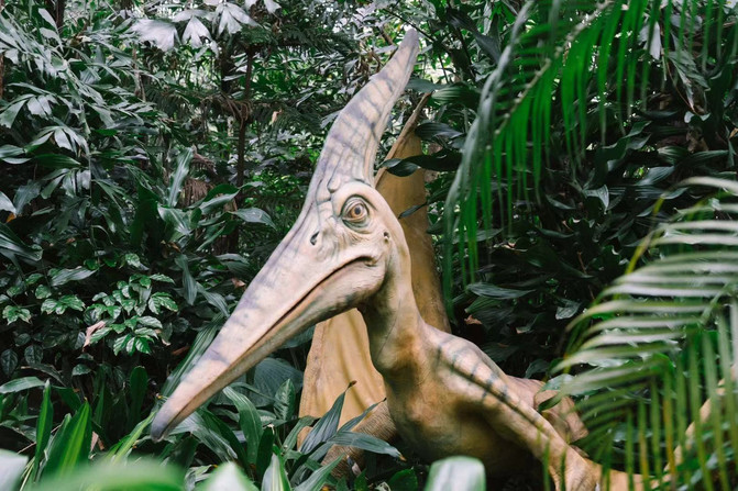 600图库兔费2026,探索神秘动物世界,解锁智慧与乐趣