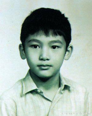 2o25新门正版免费资本,历史与文化的交融,探寻澳门独特魅力 2o25新门正版免费资本,历史与文化的交融,探寻澳门独特魅力