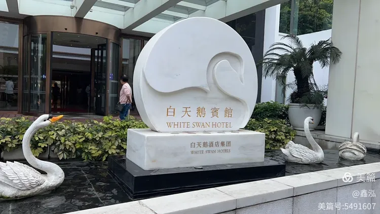 白天鹅澳门网站,精准分析,助你轻松赢取大奖