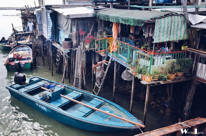大港澳旧,解锁其独特魅力,掌握核心应用技巧