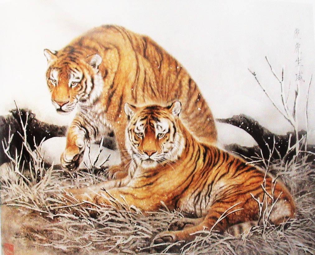 澳彩官方网站(www)生肖,独家揭秘中奖技巧,助你轻松赢大奖