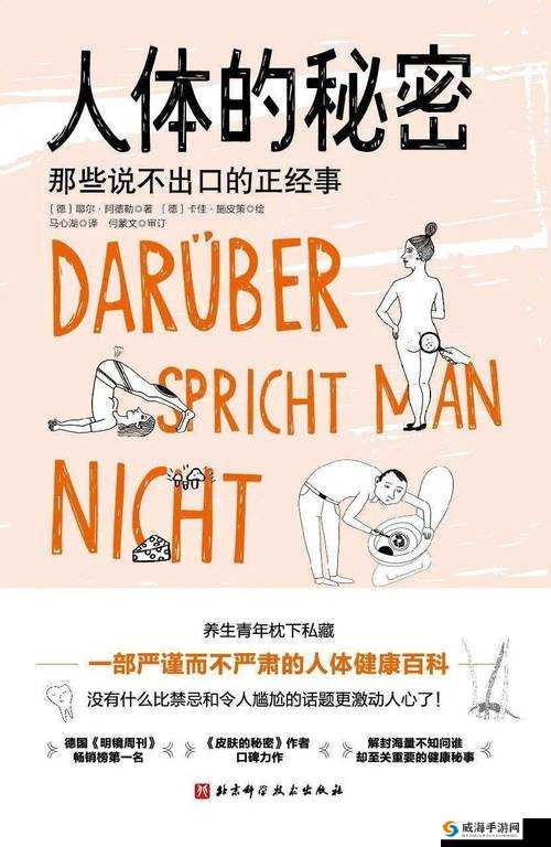 技术讨论区,揭秘其背后的秘密,探索独特魅力与价值