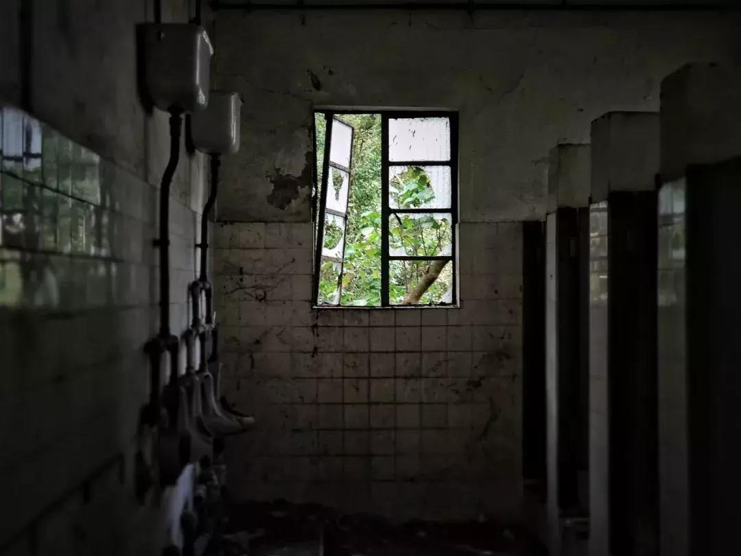 奥门一肖一特中特,惊悚灵异素材下载,独家猛鬼专题合集