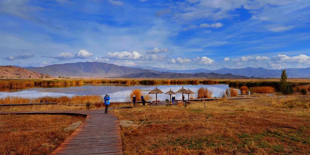 77777788888新疆是做什么的,精准分析号码走势,助你轻松中奖