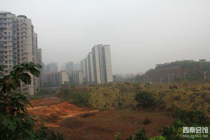 曾道道人资料免费大全2024,探索城市变迁足迹,揭秘珍贵档案与文化遗产