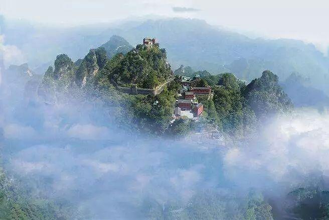 摇钱树资料大全免费,历史遗迹背后的故事,传奇文化与现代交融