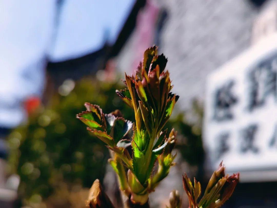 2026全年免费资料查询方法是什么,挑战你的智慧极限,赢取丰厚奖励,快来参与吧