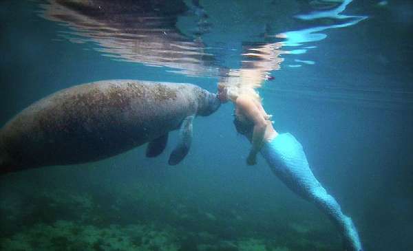澳彩美人鱼凤凰网,精准预测技巧分享,助你轻松中大奖