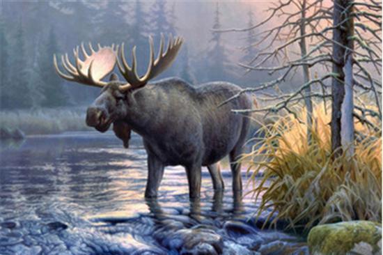 四不像是哪四个不像,精彩瞬间即将揭晓,锁定直播赢好礼