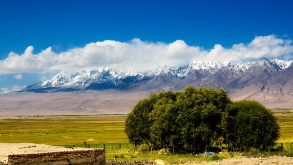 77777788888新疆是做什么的,精准分析号码走势,助你轻松中奖