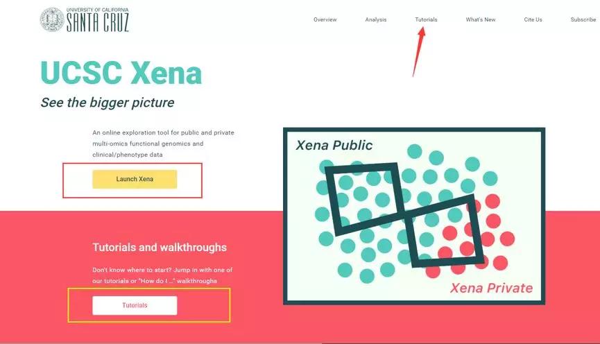 亚洲免费观看黄色网址天天干2024,掌握技巧,轻松赢大奖