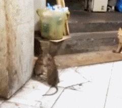 雷锋雷锋网站的资料大全,最新中奖号码公布,速来查看你的幸运数字