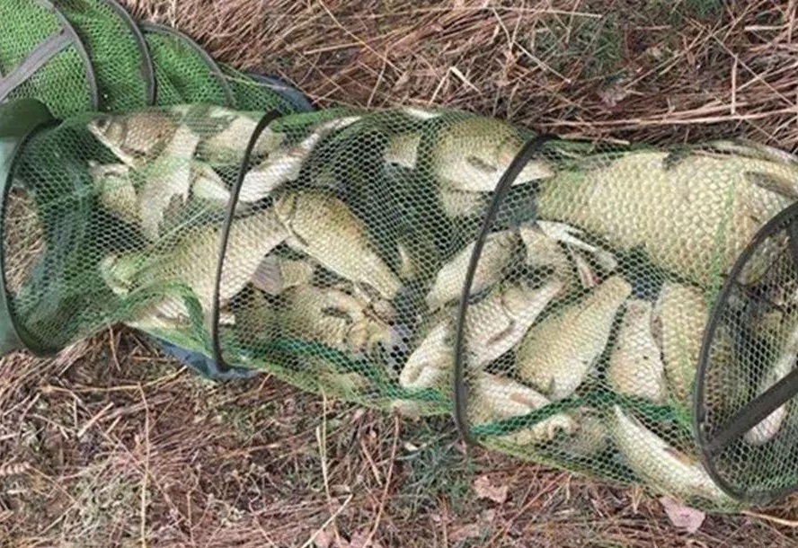 管家婆一肖一码,揭秘爆护秘诀,轻松提升渔获量 管家婆一肖一码,揭秘爆护秘诀,轻松提升渔获量